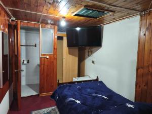 a bedroom with a bed and a shower and a television at Hostal Gomero in Santa Cruz