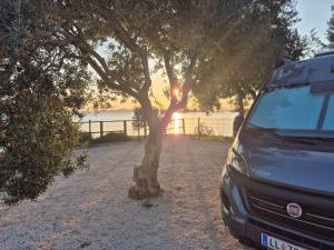Gallery image of Relax camp in Pakoštane +21 photos