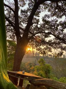 a picnic table under a tree with the sunset in the background at Parque Parapirá Camping in Socorro