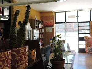 a room with potted plants and a glass table at Hostal - Bungalows Camping Cáceres in Cáceres