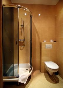 a bathroom with a shower and a toilet at Hotel Plock in Płock