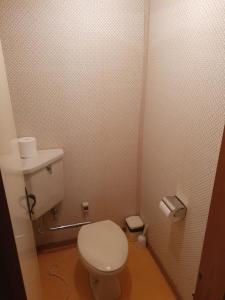 a small bathroom with a white toilet in a stall at Yamadasan Ski Lodge - Madarao in Madarao Kogen