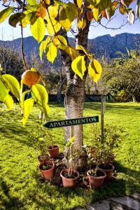 een bord voor een boom met potplanten bij Apartamentos Rurales L'Arquera in Llanes