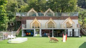a dog standing in the grass in front of a house at Gapyeong Jmong Choncance&Camping Pension in Gapyeong