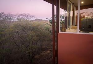 a room with a window looking out into the wilderness at Tropical Design Stay near Playa Avellanas with Rooftop Terraces in Santa Cruz +22 photos