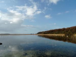 a large body of water with trees in the background at Historic old Cottage Co Mayo in Ballinrobe