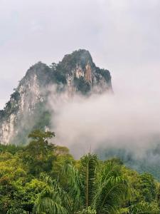 a mountain in the fog with trees and palm trees at Khaosok Malinglamping in Ban Thung Lang Tham