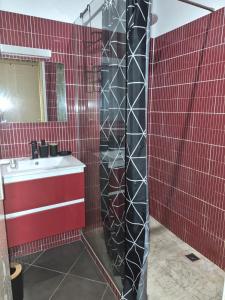 a red tiled bathroom with a sink and a mirror at Oya - Destination Guyane in Macouria +10 photos