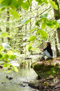 Fotografie z fotogalerie ubytování STF Nyrups Naturhotell v destinaci Höör