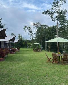 a group of chairs and tables with umbrellas at Tikumbar Glamping Pelaga in Plaga