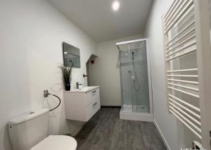 a bathroom with a shower and a toilet and a sink at studio gray centre parking WiFi confort in Gray