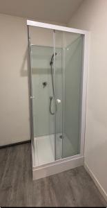 a shower with a glass door in a room at studio gray centre parking WiFi confort in Gray