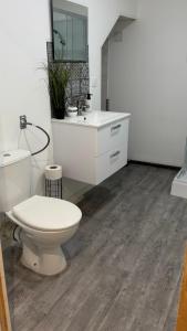 a bathroom with a white toilet and a sink at studio gray centre parking WiFi confort in Gray
