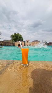a drink sitting on the edge of a swimming pool at THE RiYASAT SARISKA in Ajabgarh