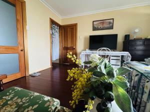 a living room with a television and a plant at Less pay for master room in Rosewater