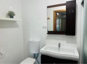 a bathroom with a toilet and a sink and a mirror at Less pay for master room in Rosewater
