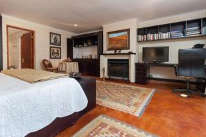 1 dormitorio con cama, TV y chimenea en The Garden View Suite en Franschhoek