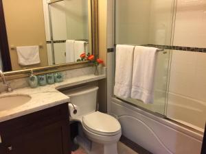 a bathroom with a toilet and a shower and a sink at Vancouver lovely home in Vancouver +28 photos
