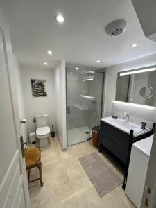 a bathroom with a shower and a sink and a toilet at Au petit soulier de Puisaye in Treigny +3 photos