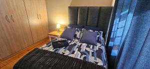 a bedroom with a bed with blue pillows at Mountain View in Klein-Brakrivier