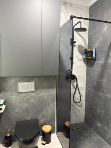 a bathroom with a black toilet and a shower at Nanna apartman in Ruma +2 photos