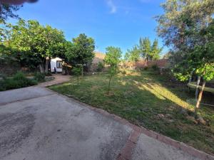 an empty yard with trees and a bench at El Corral de la Higuera in Campofrío
