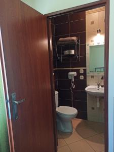 a bathroom with a toilet and a sink at Przylesie in Uniejow