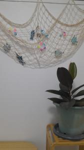 a hanging net with birds on it next to a plant at 365house in Ban Phlu Yai