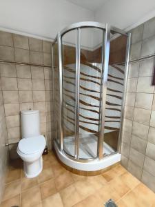 a bathroom with a toilet and a glass shower at Palio Dream House in Paleo Tsifliki +8 photos