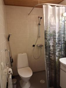 a bathroom with a toilet and a shower at Hostelli Havumaja in Puumala +17 photos