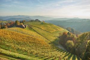 Fotografie z fotogalerie ubytování Gästehaus Grasch v destinaci Kitzeck im Sausal