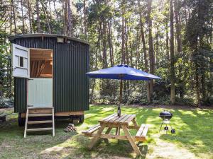 a green tiny house with a picnic table and an umbrella at Honeysuckle Hut-Qu7066 in Melton Constable +14 photos