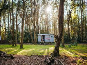 a small white shed in the middle of a forest at Goosewing Hut-Qu7072 in Melton Constable +14 photos