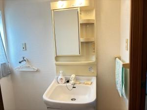a bathroom with a sink and a mirror at メゾンドyy寺田 アパート1室貸切 素泊まり最大6人宿泊可能 4名様まで同一料金 in Yamaguchi