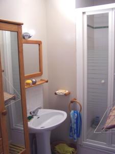 a small bathroom with a sink and a shower at Chambre lit simple in Saint-Herblain