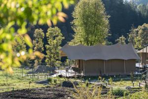 a tent in the middle of a field with trees at Saraaya Glamps, Dharamshala in Dharamshala +136 photos