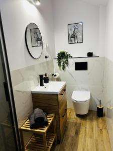 a bathroom with a sink and a toilet and a mirror at Apartamenty Dostoja in Władysławowo +17 photos