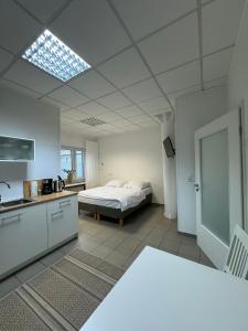 a kitchen and a bedroom with a bed in a room at Ecke's Apartment in Hüllhorst