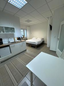 a kitchen and living room with a bed in a room at Ecke's Apartment in Hüllhorst +13 photos
