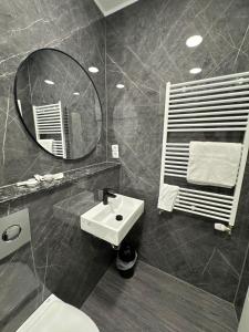 a bathroom with a sink and a mirror and a toilet at Ecke's Apartment in Hüllhorst