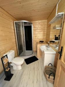 a bathroom with a toilet and a shower and a sink at Chalet Des Aigrettes- Jacuzzi privatif in Chassey-lès-Montbozon