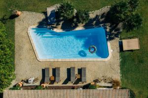 an overhead view of a swimming pool in a yard at Villa Niloan Olbia in Olbia +57 photos