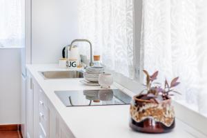 a kitchen counter with a sink and a potted plant at Sierra Blanca Bungalow in Marbella +9 photos