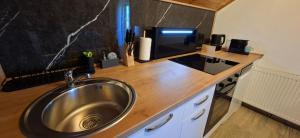 a kitchen counter with a sink and a microwave at Monte Symphony in Rakovica +85 photos