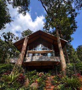 a tree house in the middle of a garden at The Pebble Shack in Idukki
