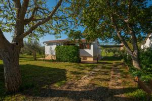 a house in the middle of a yard with trees at La Casetta di Gio in Pula