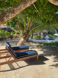 a lounge chair on a beach with a palm tree at Dicilaba Lodge in Sainte Marie
