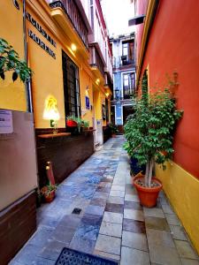 an alley with potted plants on the side of a building at Feel Hostels City Center in Málaga