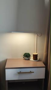 a table with a lamp and a plant on it at Be Residences Studio in Cebu City