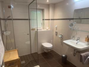 a bathroom with a toilet and a sink and a shower at Grünwaldhof in Tux +30 photos